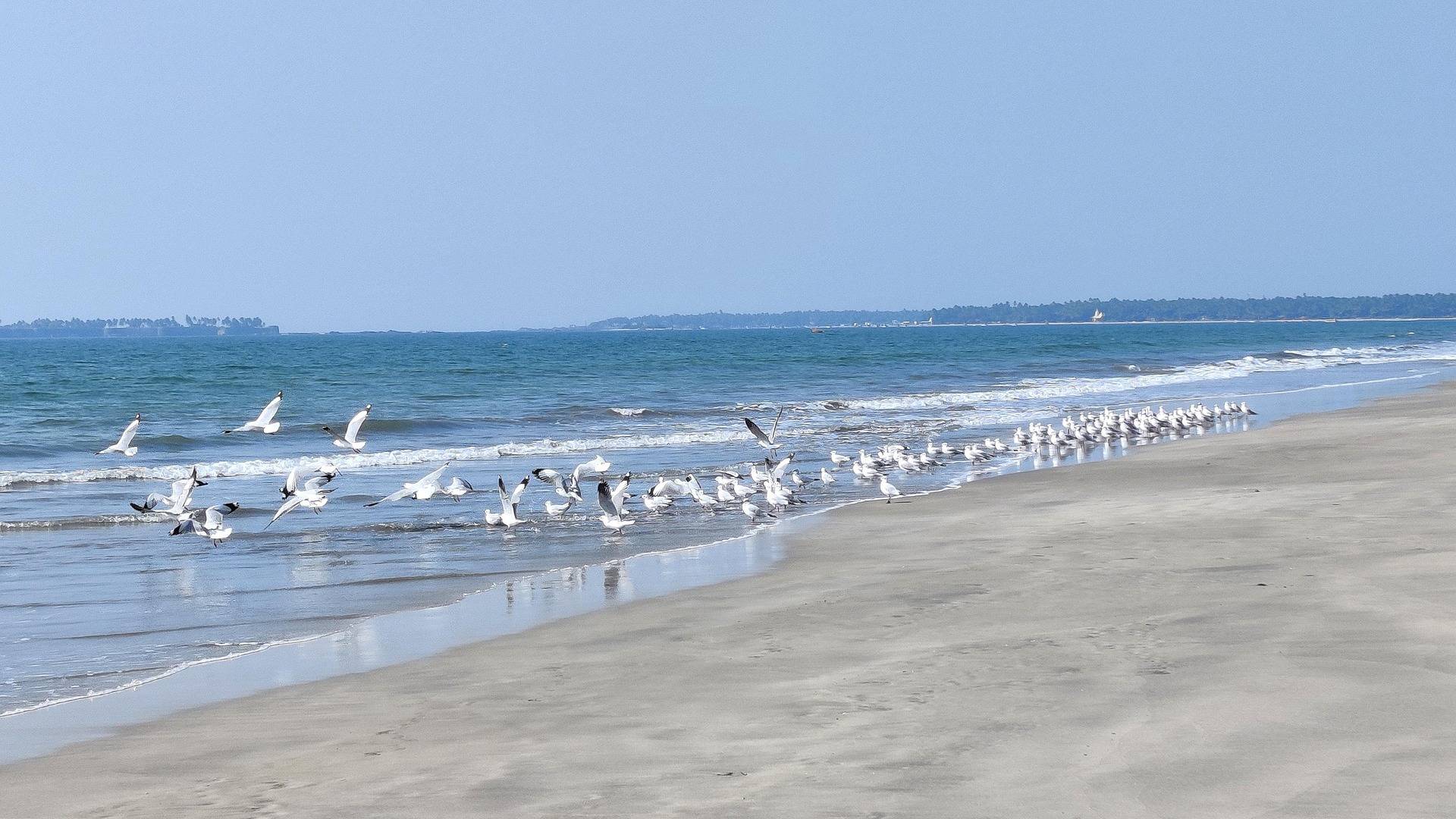 Tarkarli Beach